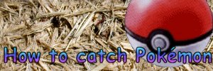 catch.jpg